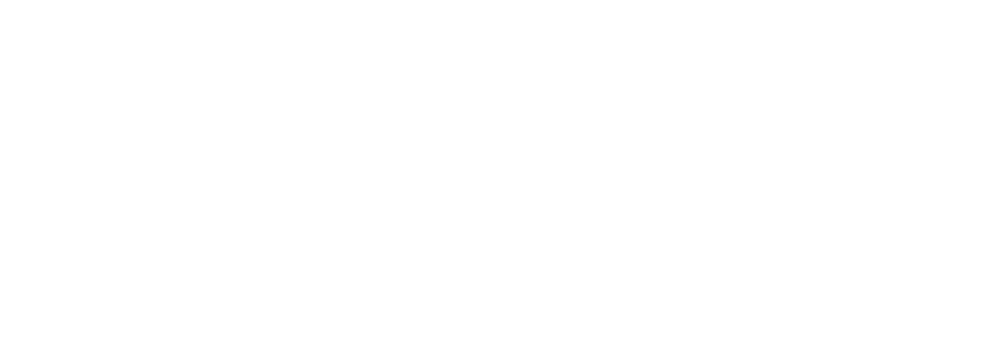 NEOBPLAN 로고